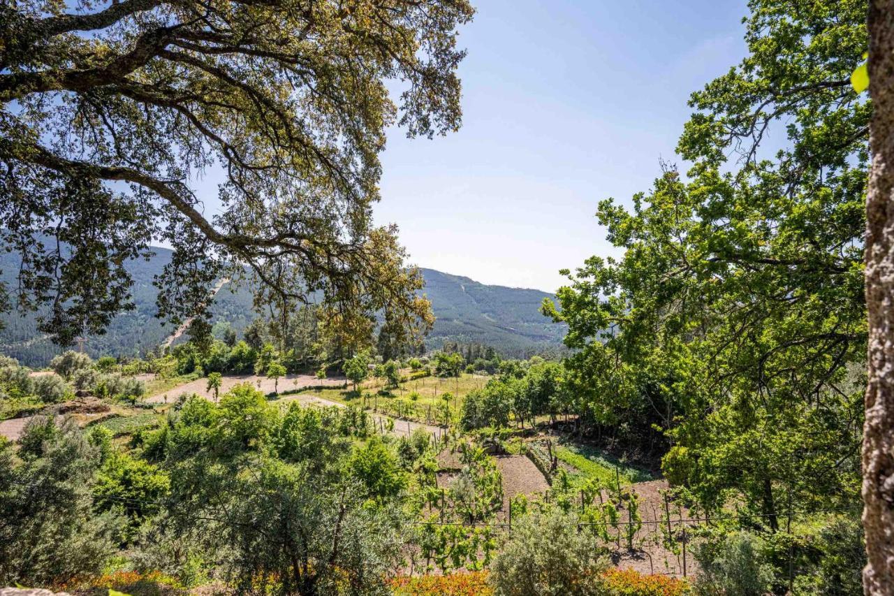 Quinta Da Baldieira مونديم دي باستو المظهر الخارجي الصورة