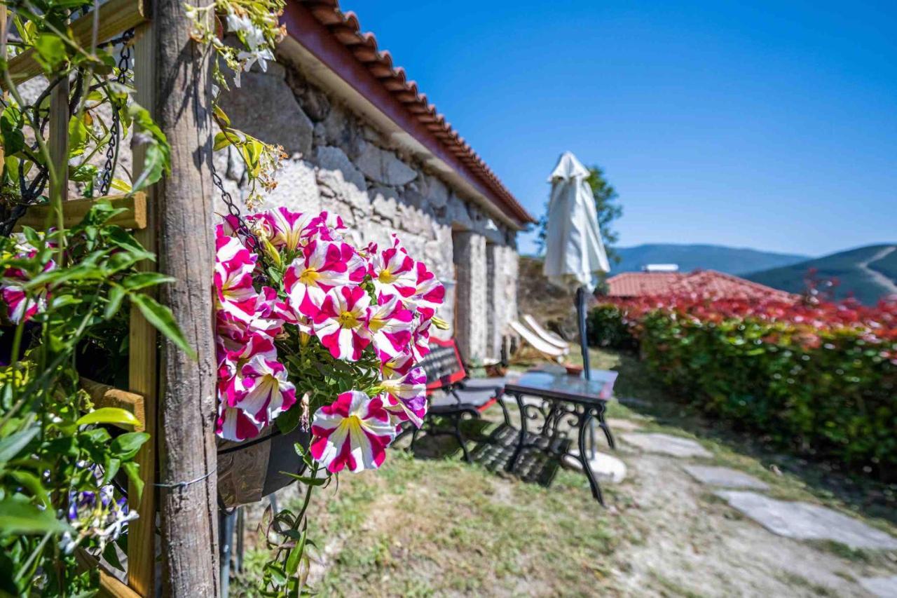 Quinta Da Baldieira مونديم دي باستو المظهر الخارجي الصورة