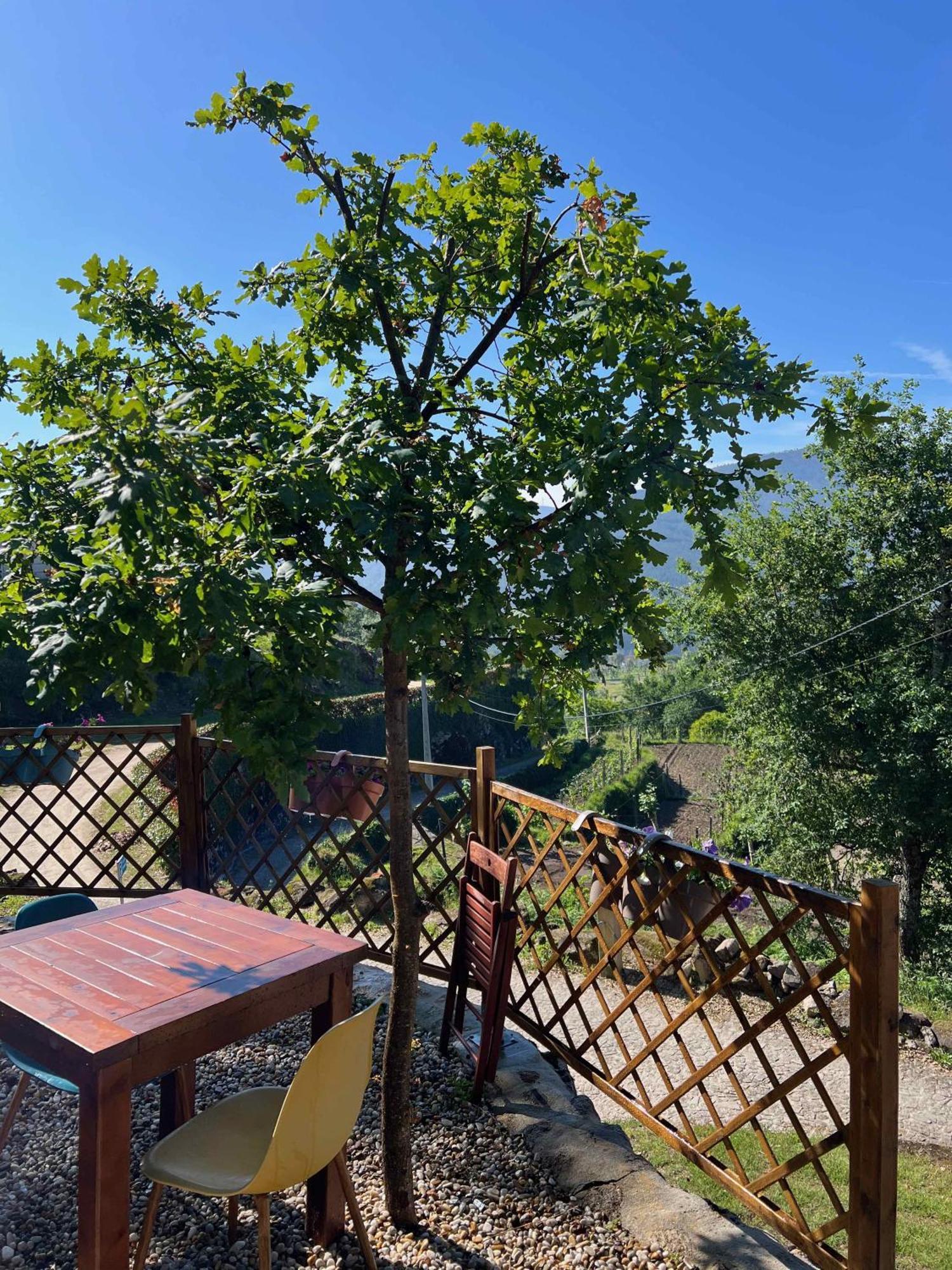 Quinta Da Baldieira مونديم دي باستو المظهر الخارجي الصورة