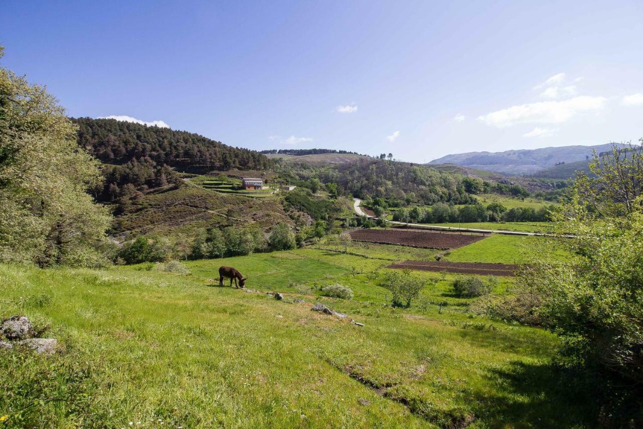 Quinta Da Baldieira مونديم دي باستو المظهر الخارجي الصورة