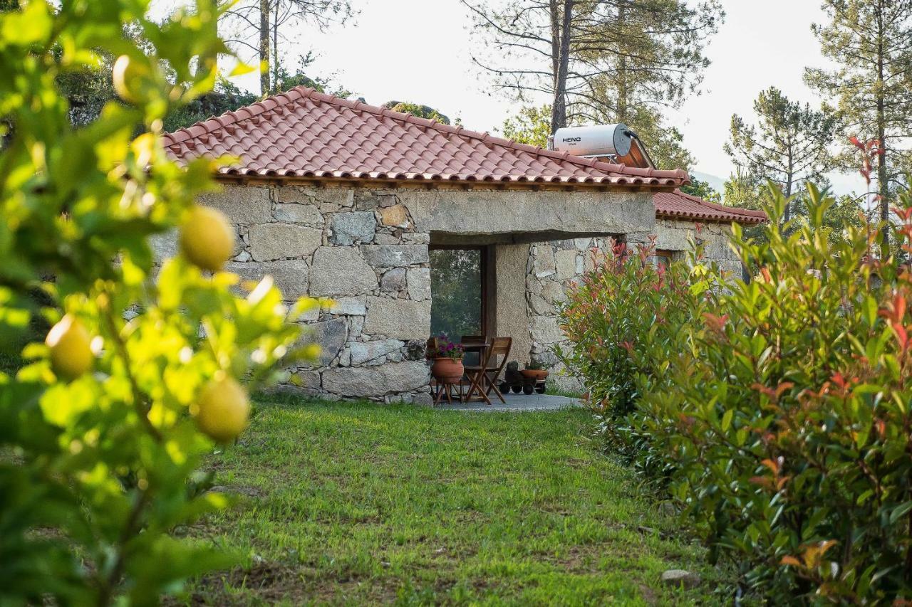 Quinta Da Baldieira مونديم دي باستو المظهر الخارجي الصورة